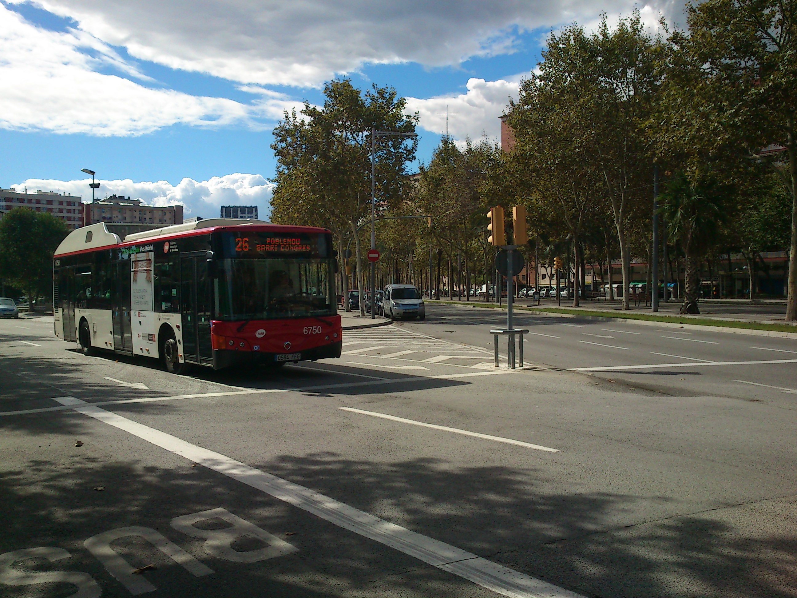 RESUMEN DE LA FESTA DEL CEL
