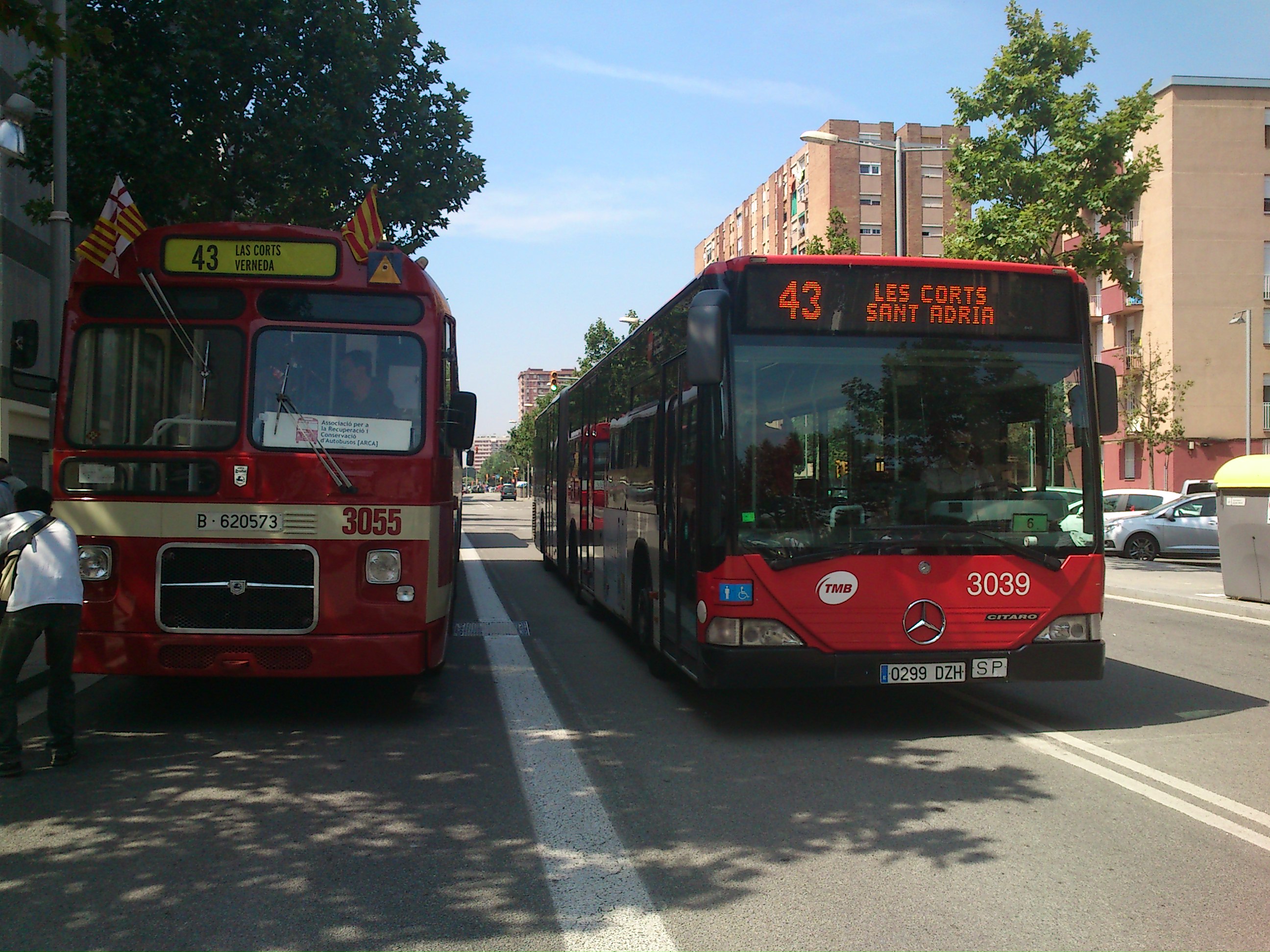 RESUMEN DEL 10 ANIVERSARIO DE ARCA