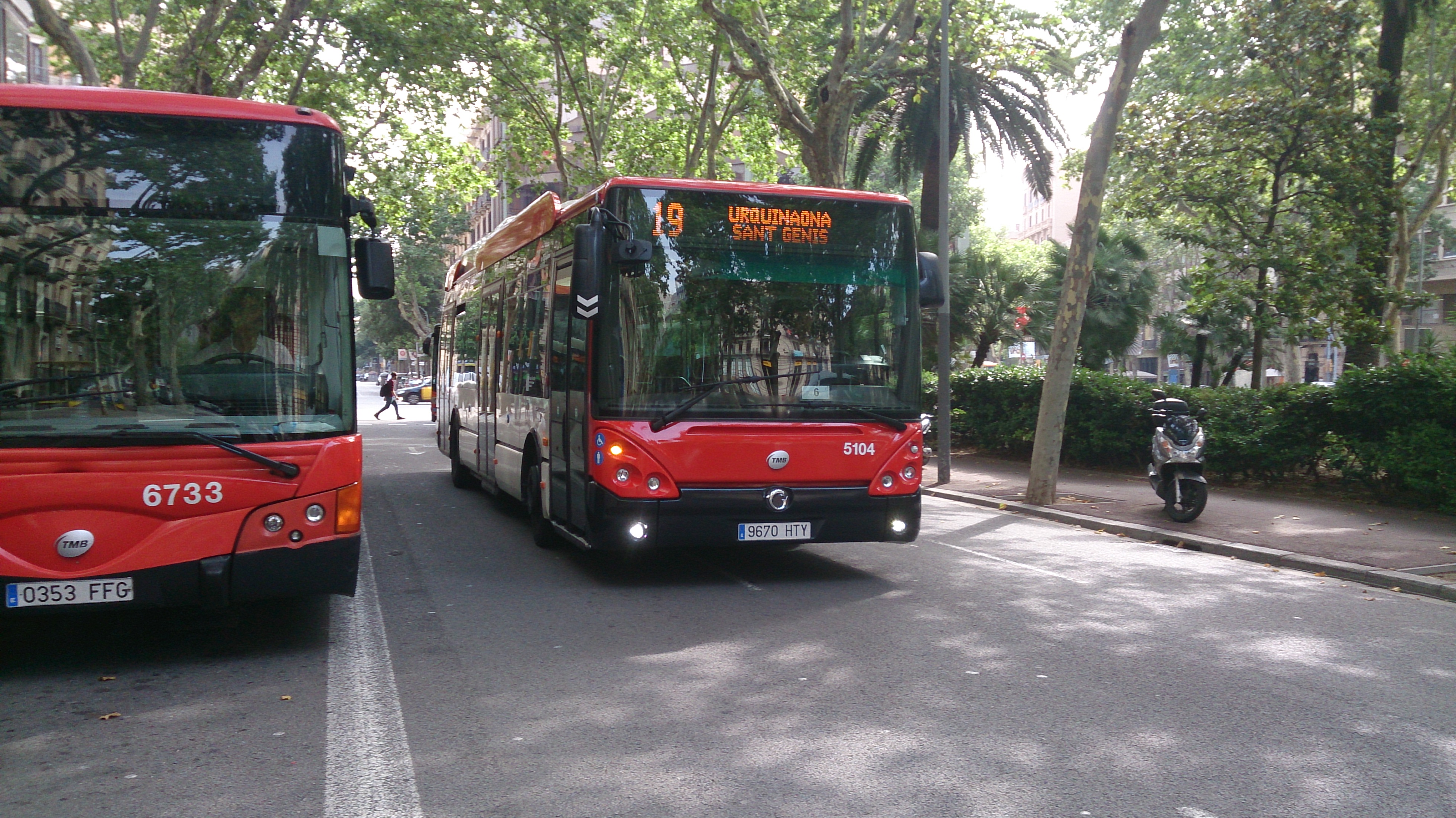 LA 19 YA USA LOS CITELIS HYBRID DE TMB