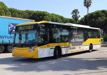 Las grandes compañias compiten por dos concesiones del grupo Baixbus y una del nitbus