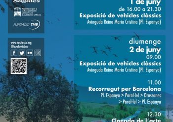 Llega la decimotercera edición de la exposición de autobuses clásicos de Barcelona